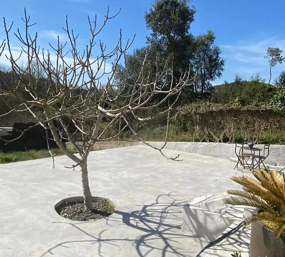 Villa Casa La Alegria Massanet De La Selva Casa vacanze